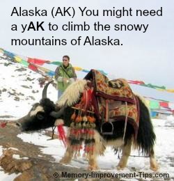 alaska yak