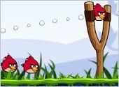 angry bird