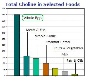 graph of choline in foods