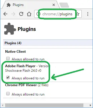 Chrome plugins flash