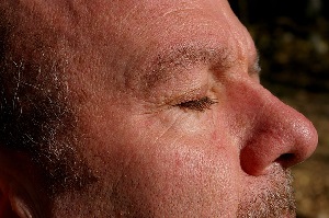 closing your eyes boosts memory