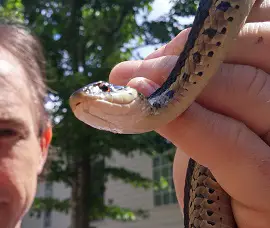 me holding snake