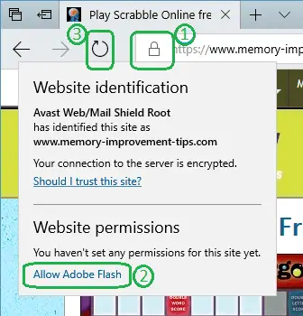 how to get adobe flash player to work automatically how to get adobe flash player to work automatically