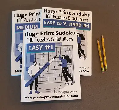 large print sudoku puzzle book