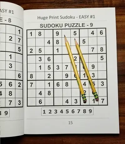 large print sudoku puzzle book