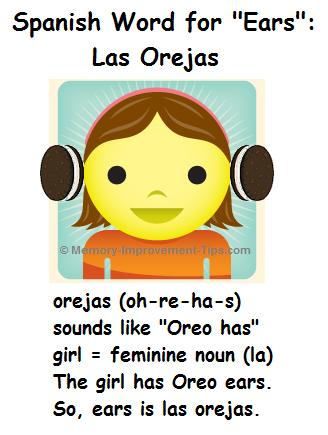 Las orejas is the word for ears in Spanish