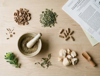 Nootropics and brain supplement research