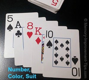 number color suit