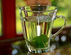 peppermint tea