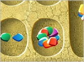 play mancala online