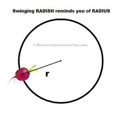 Swinging RADISH reminds you of RADIUS