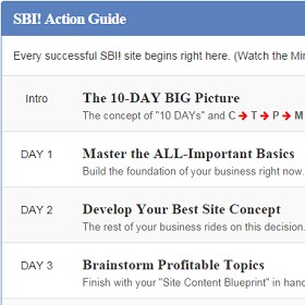 sbi action guide