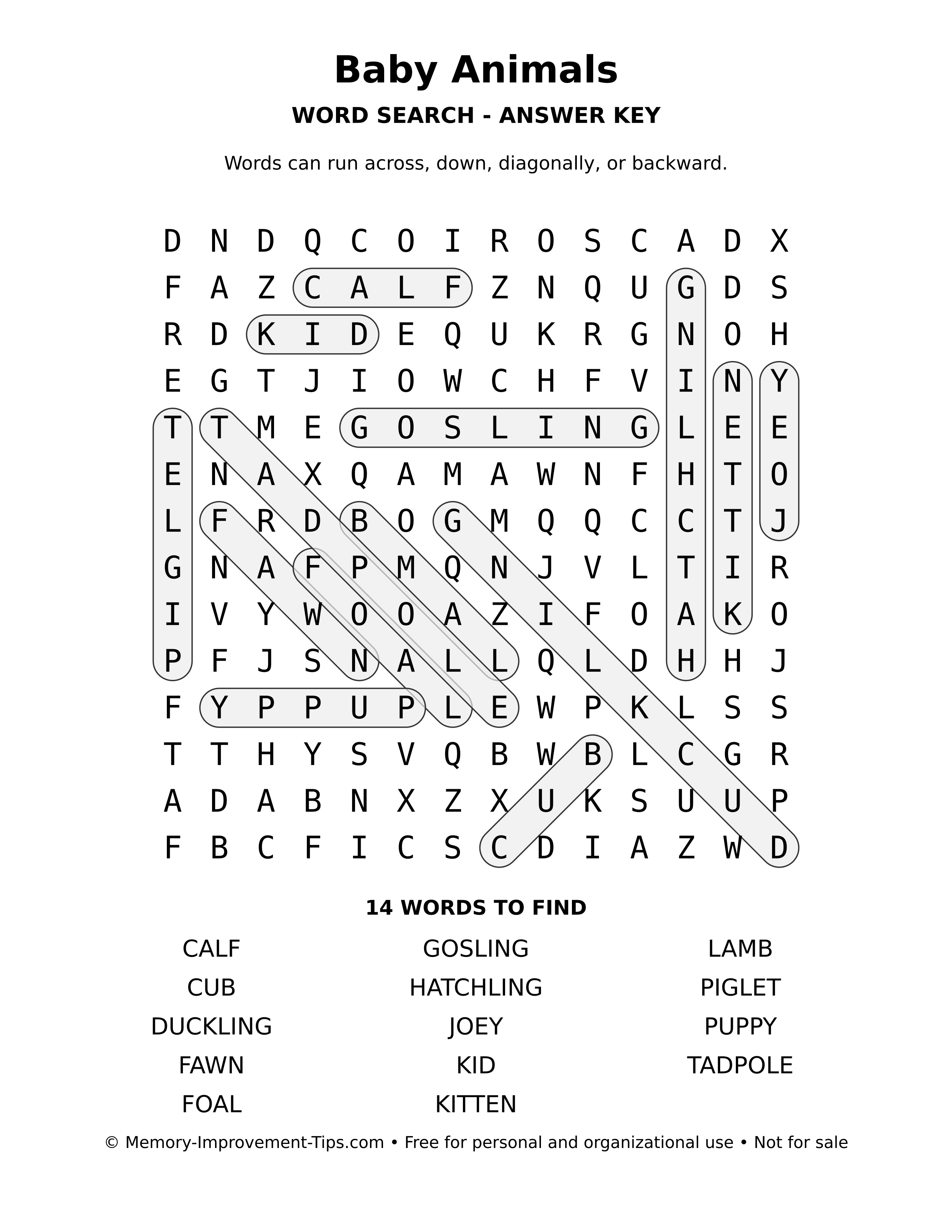 Answer key for Baby Animals word search