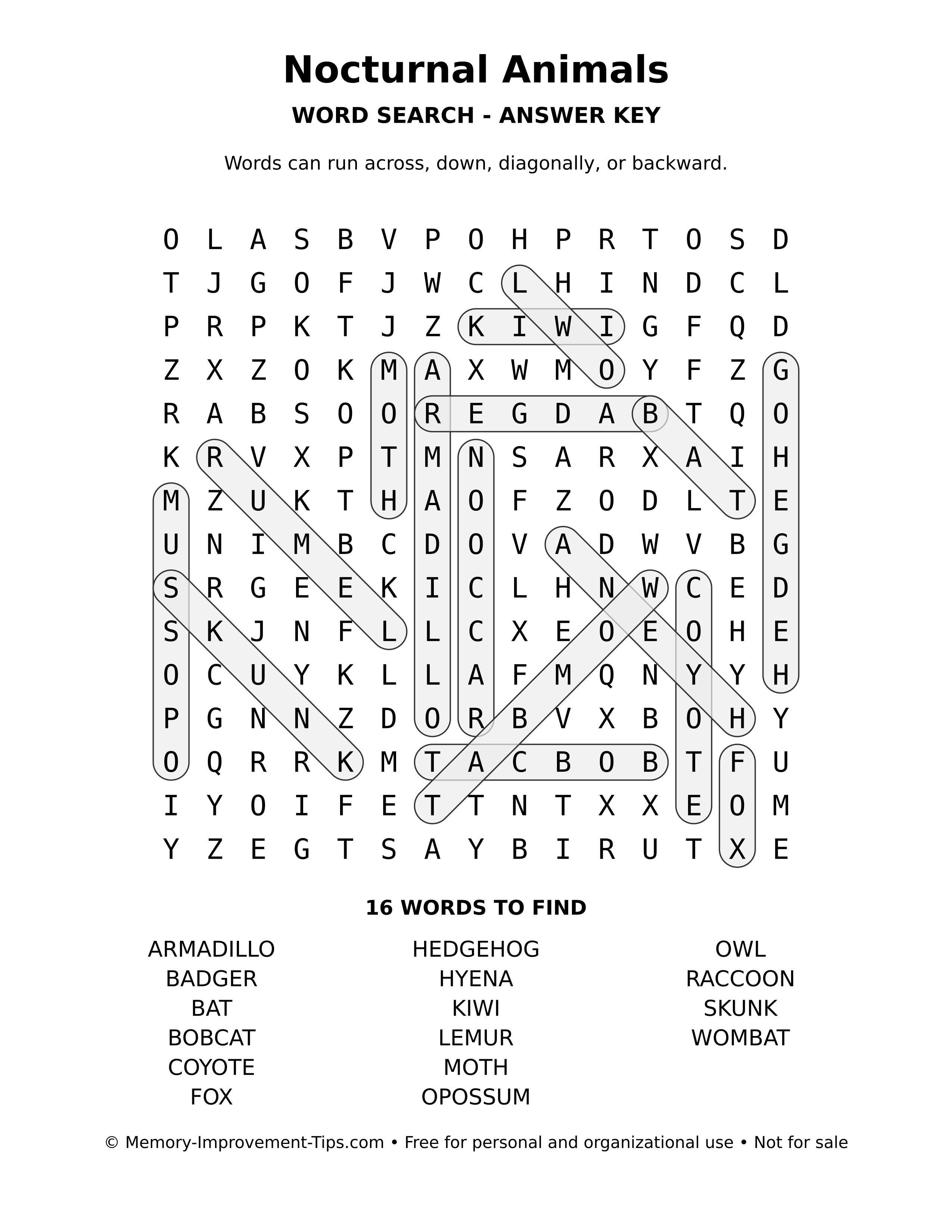 Answer key for Nocturnal Animals word search