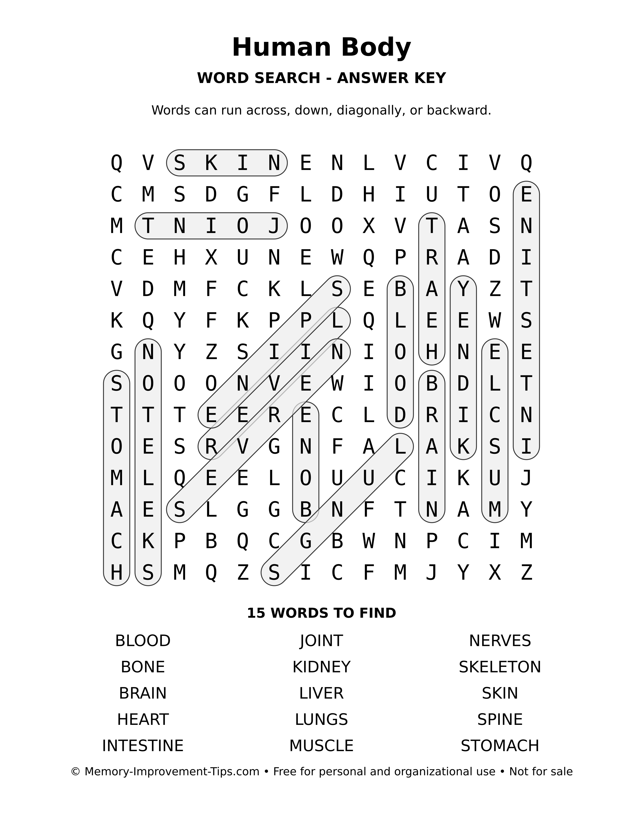 Answer key for Human Body word search