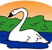 Swan peg