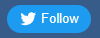 Twitter follow button