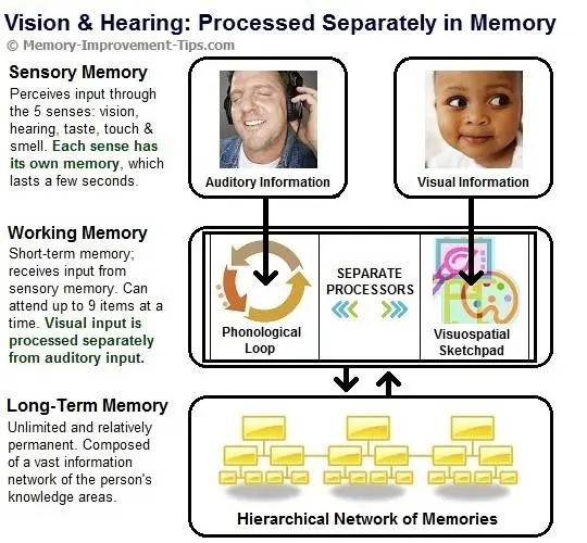 memory improvement